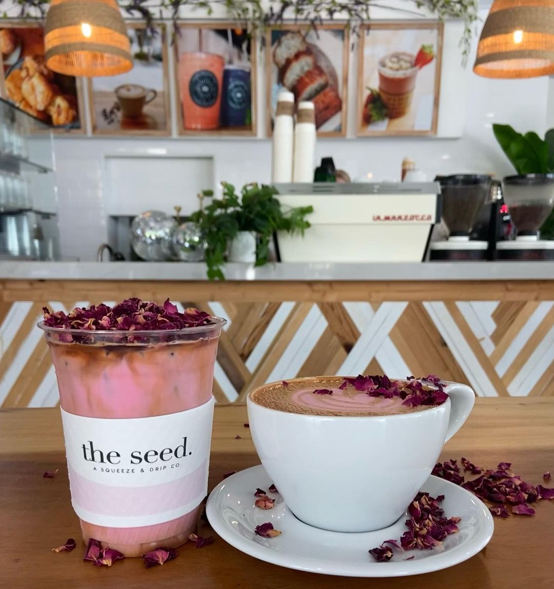 seedcoffeehouse_344415194_623635702614685_6910650394738640064_n