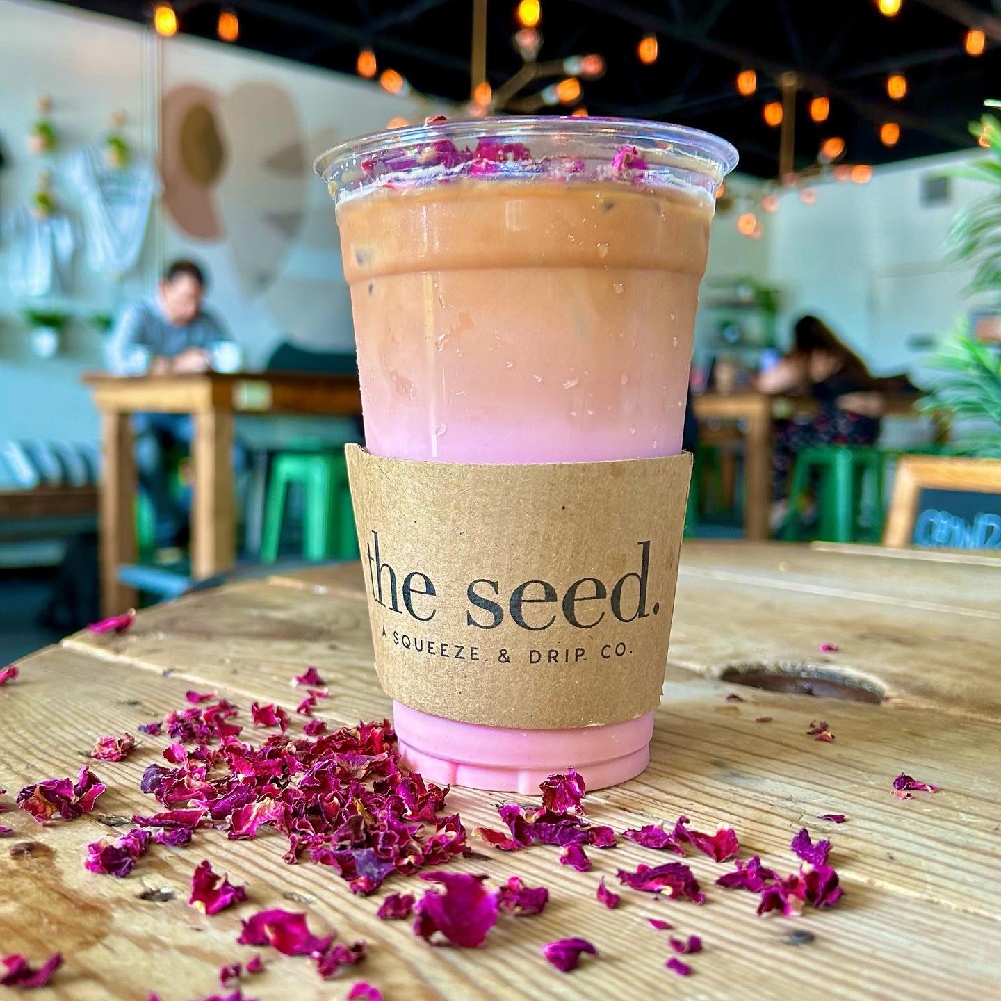 seedcoffeehouse_351283854_1780989352297599_8737882889589887125_n