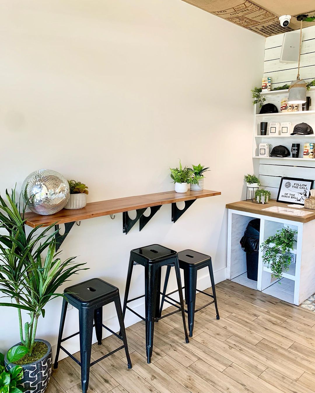 seedcoffeehouse_366003229_18381517600001094_4561580589547877663_n