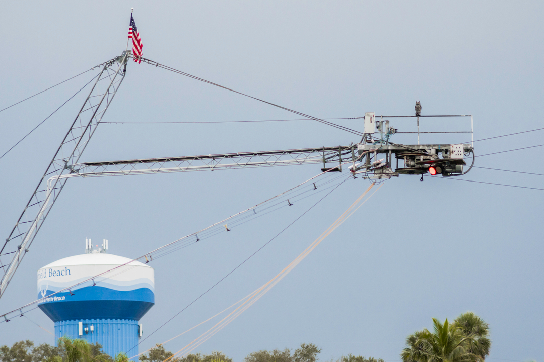 skirixenusa_362348508_242065735317357_5221733566538582176_n