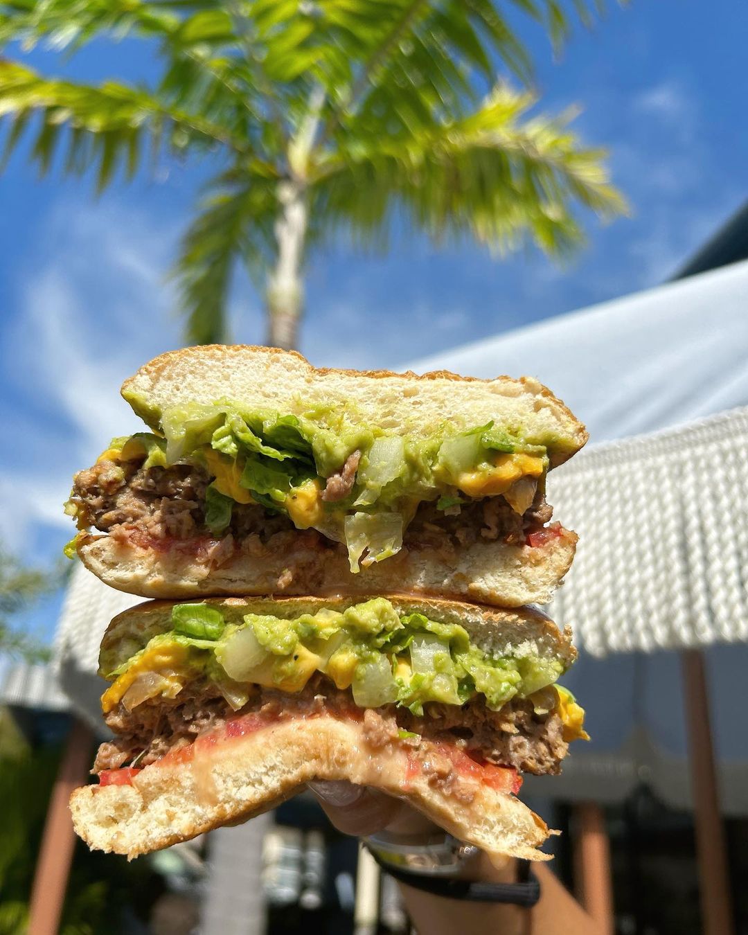 sunnyside_mia_347388698_931951674706068_8622305451076389083_n