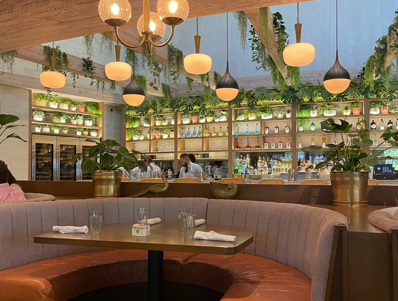 Sadelle's Coconut Grove 6