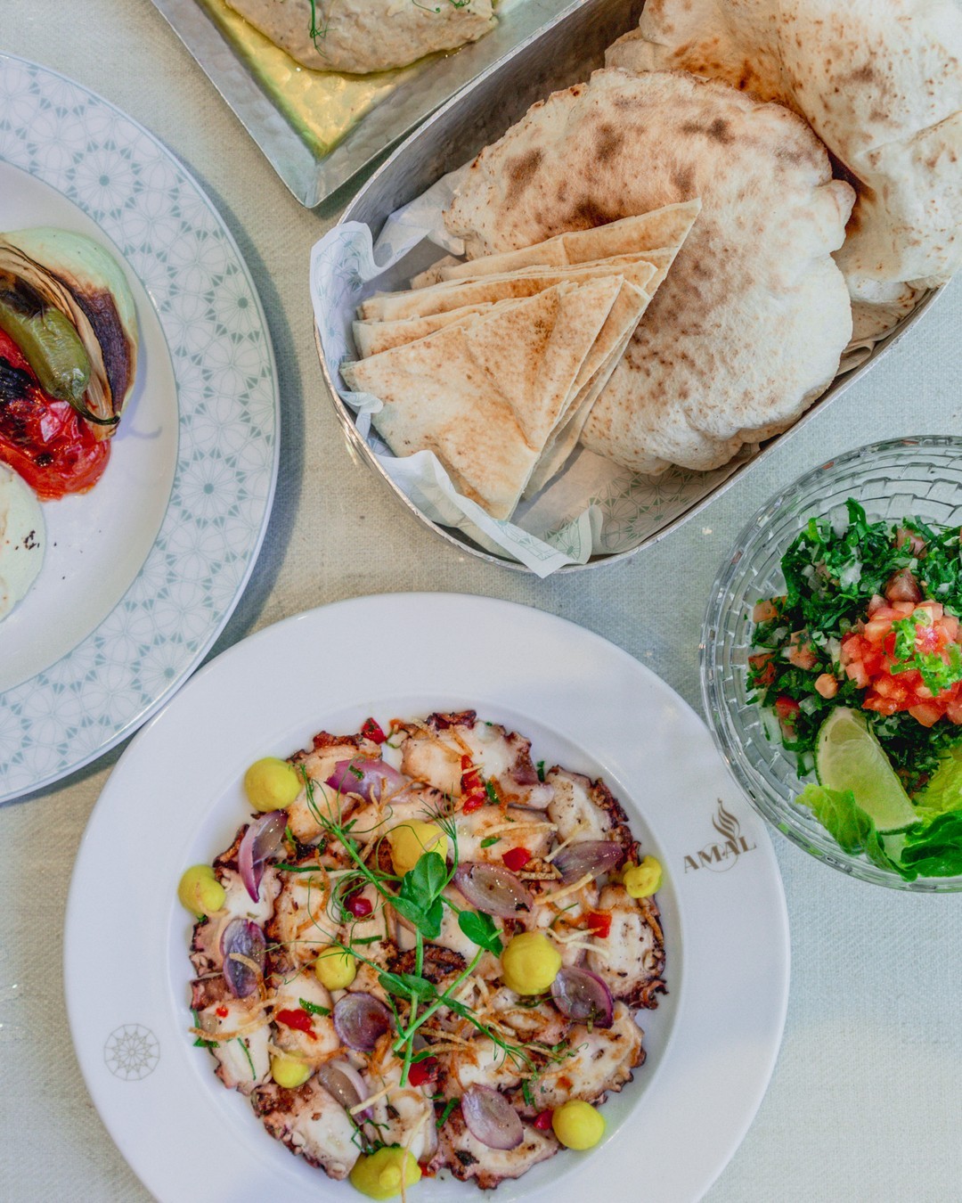 amalmiami_1692129719_3170136302717079637_30028732440