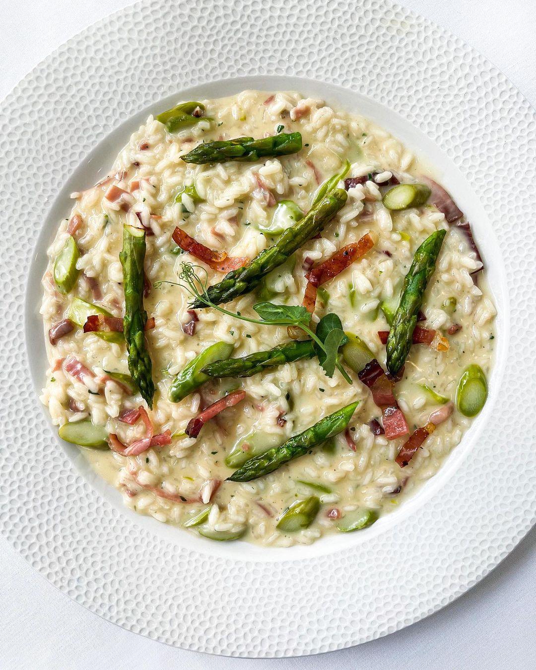 portosolemiami_342076081_237486202126235_1488040257602628709_n