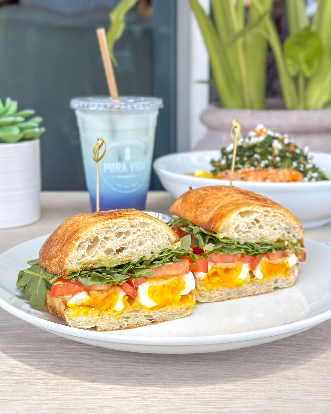 puravidamiami_368370907_1007306480392907_6080912067485168687_n