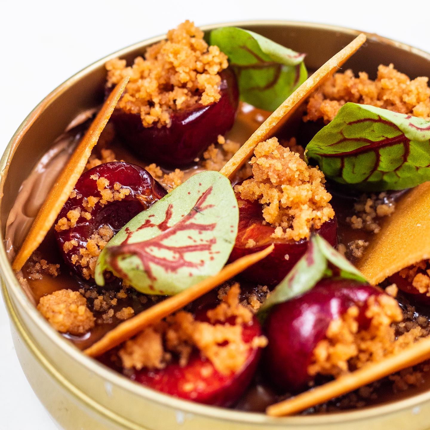 zitzsum_352494787_224903156982989_3768772628702609140_n