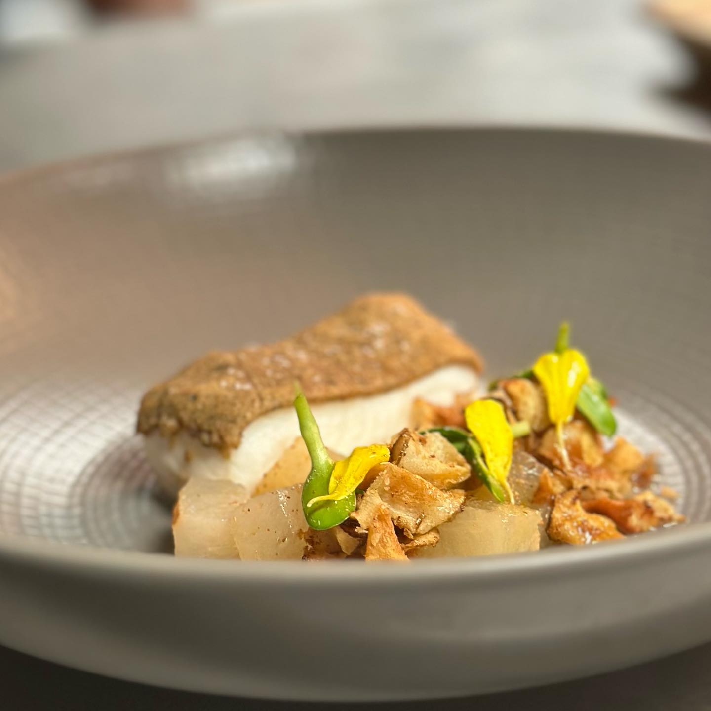 zitzsum_380544896_18285390013180885_1954866543090724584_n