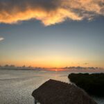 papajoeswaterfront_1686786656_3125315454402430744_48277718439