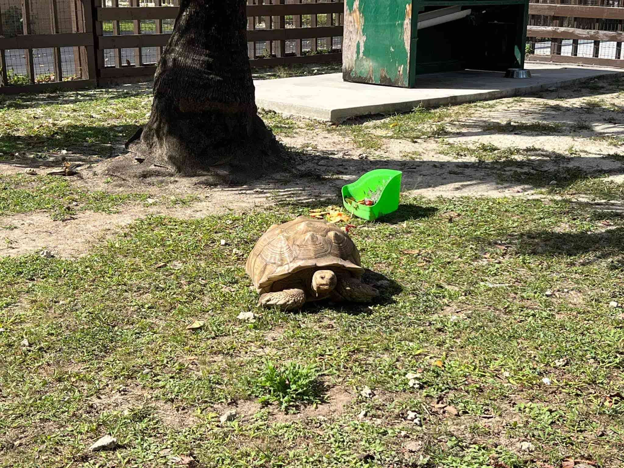 received_1008734916692413