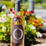 totalwinesefl_1621957805_2581491608145876868_12061304277