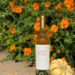 totalwinesefl_1697027928_3211225457704905505_12061304277