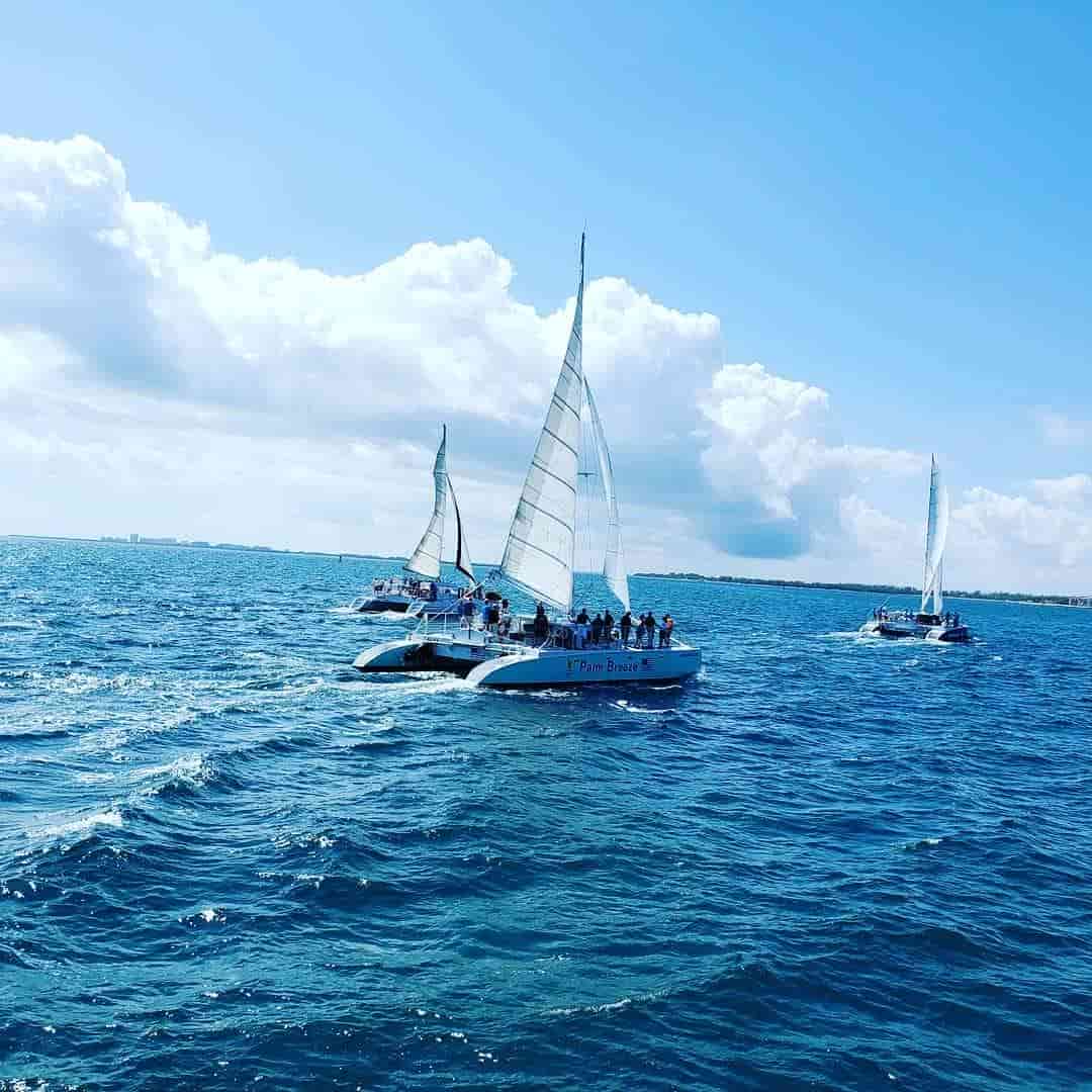 catamaran sailing regatta