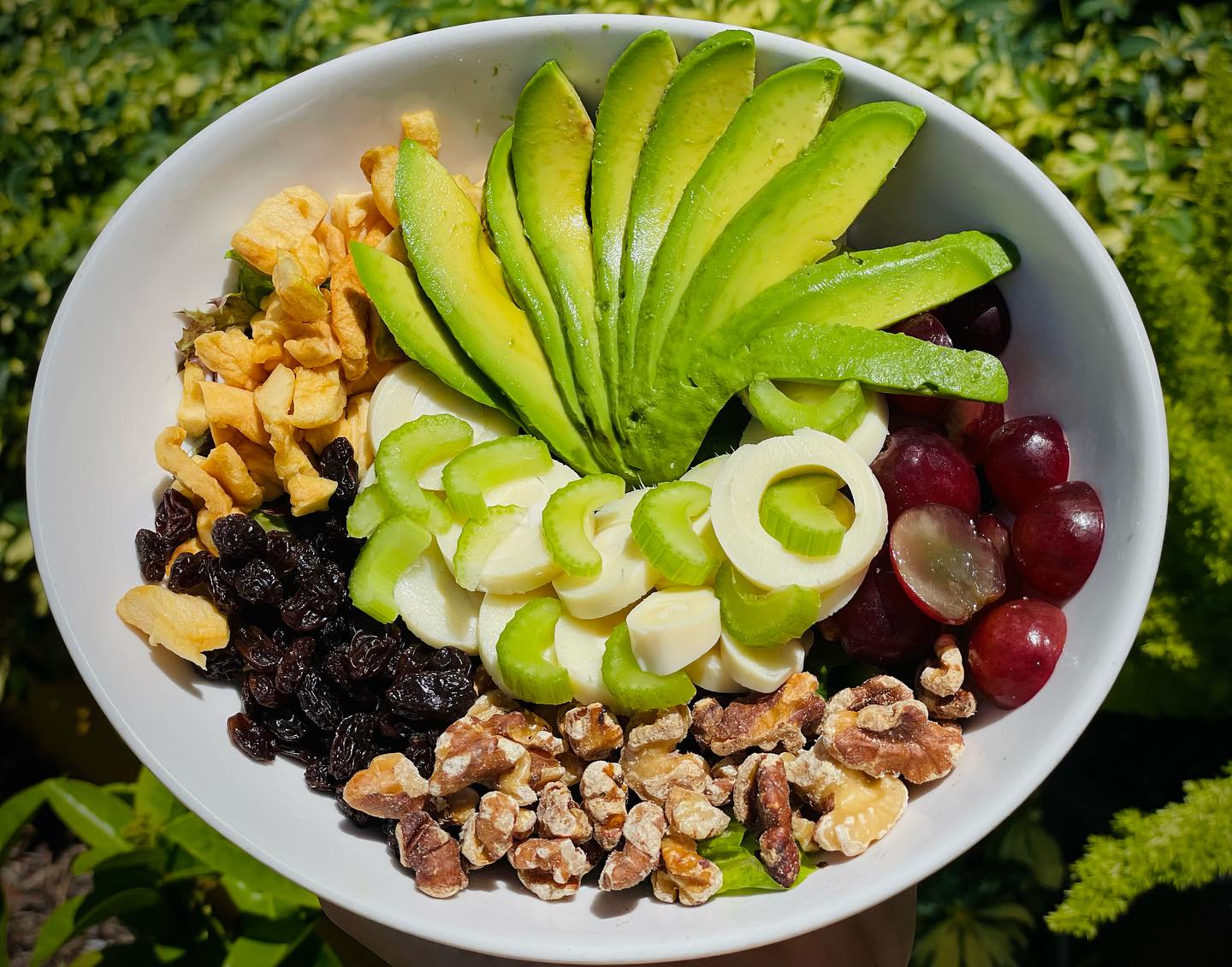 los_olivos_bistro_1692200536_3170730367955094584_41874185156