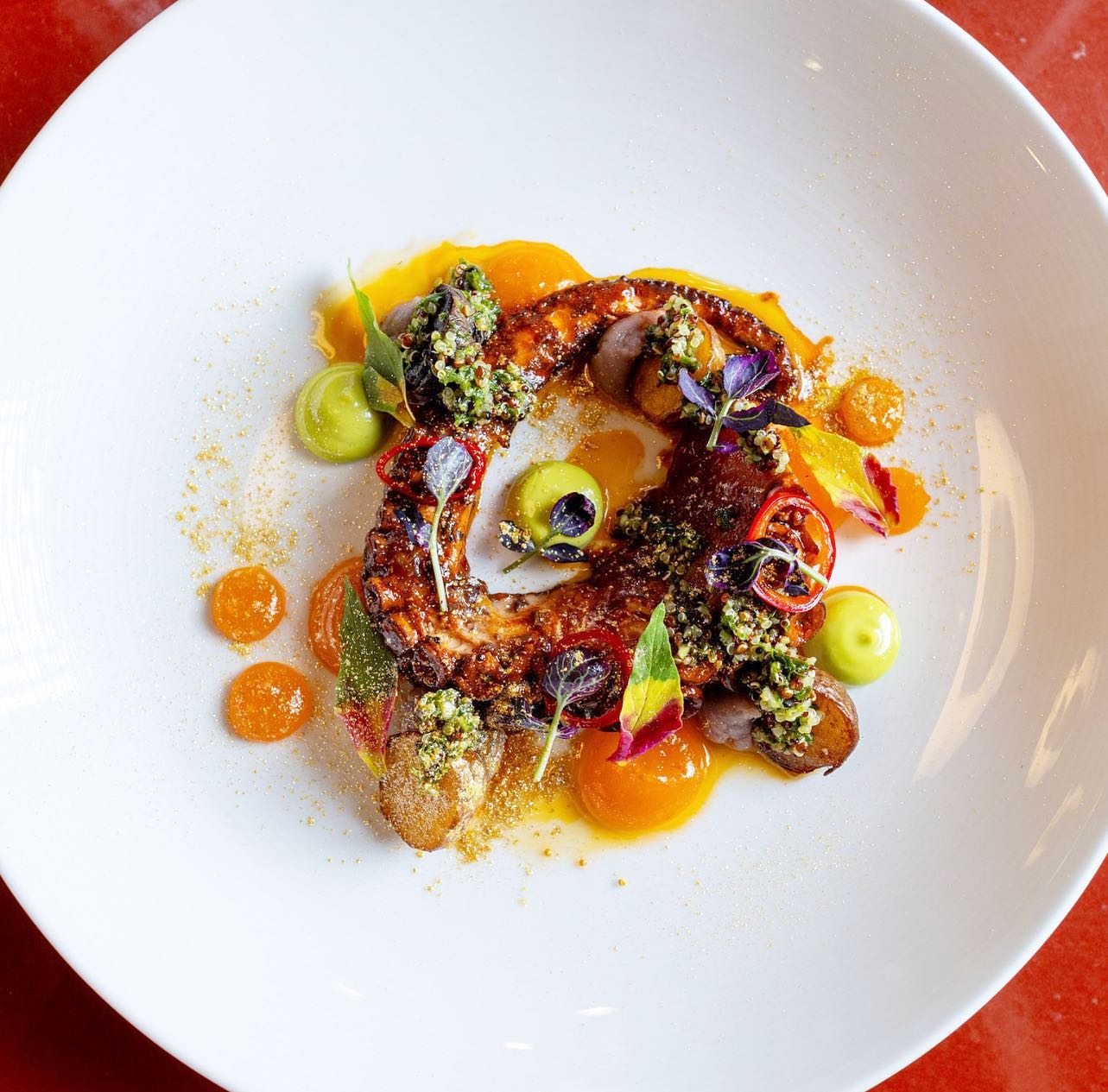 mayu_miami_1698939900_3227264405325277910_58330969135