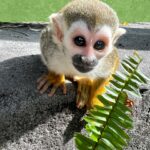 palmbeachzoo_1702571918_3257731825924672195_490701362