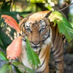 palmbeachzoo_1703947930_3269274652966042603_490701362