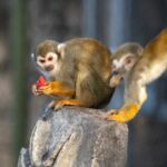 palmbeachzoo_1704376027_3272865790230550186_490701362