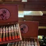 tapthatassh_1700368037_3239244335802696047_49578554806