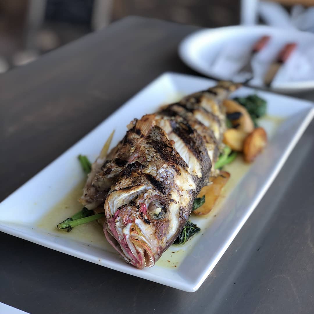 theolivpit_1556909681_2035828419862157386_4710339318