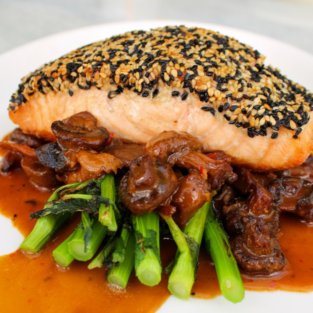 copperfishboca_1708012836_3303373531730176823_11323012102