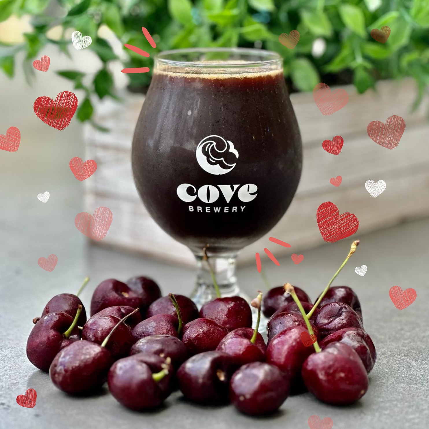 covebrewery_1707946183_3302814428394846978_56263697546