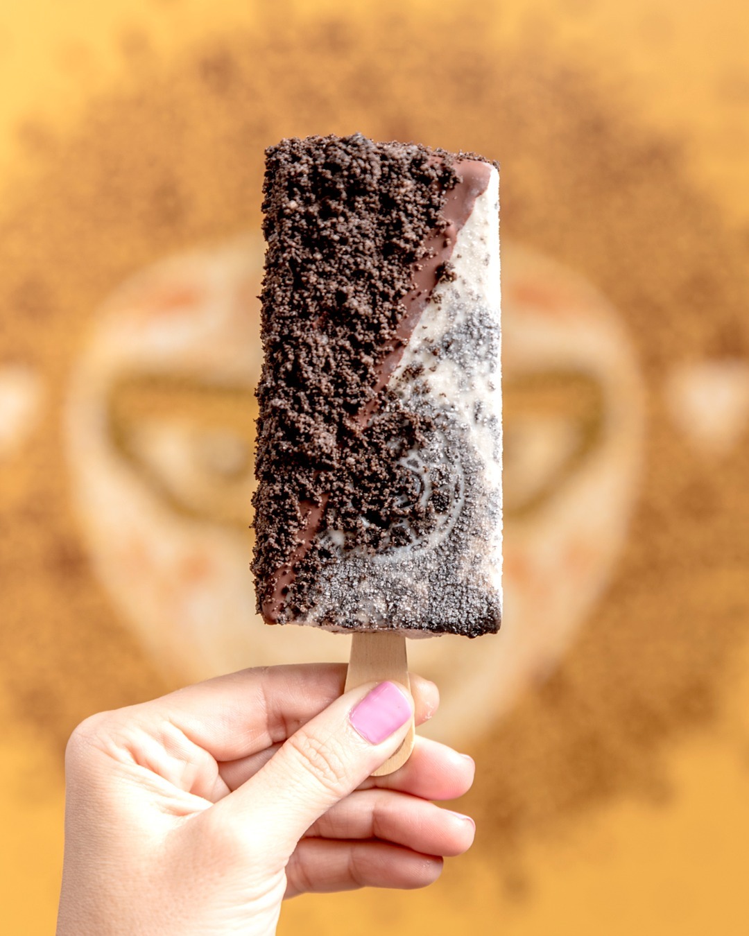 paletasmorelia_1704485110_3273780778469752264_3044647789