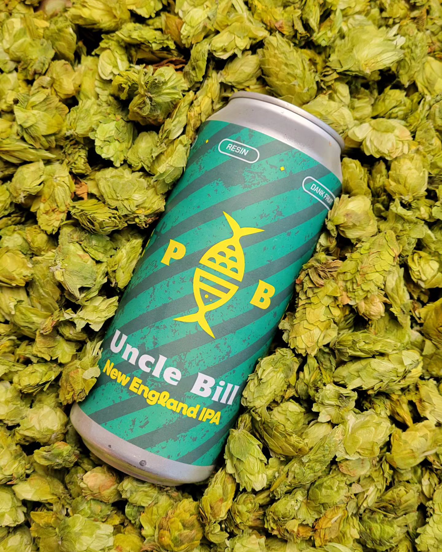 pompano_beach_brewing_1708104294_3304140765402021454_1501492964