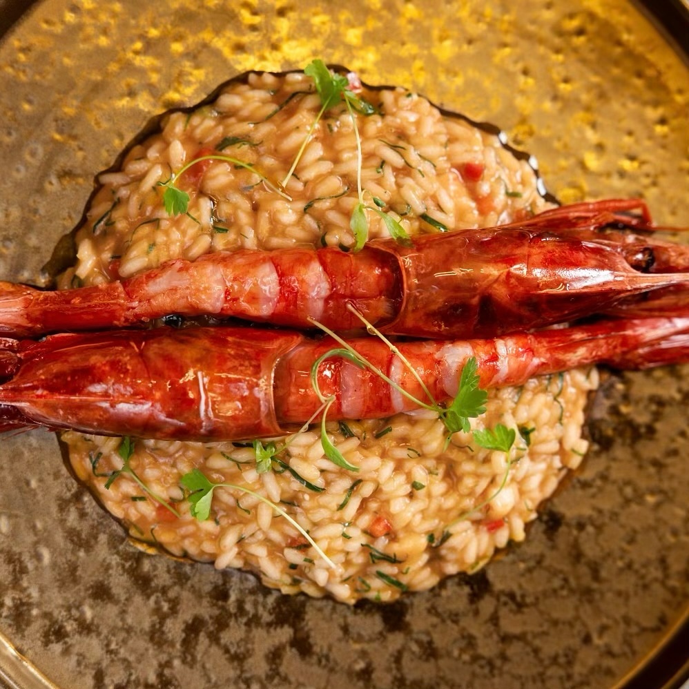 sereiamiami_1708123346_3304300581017874131_59215535322