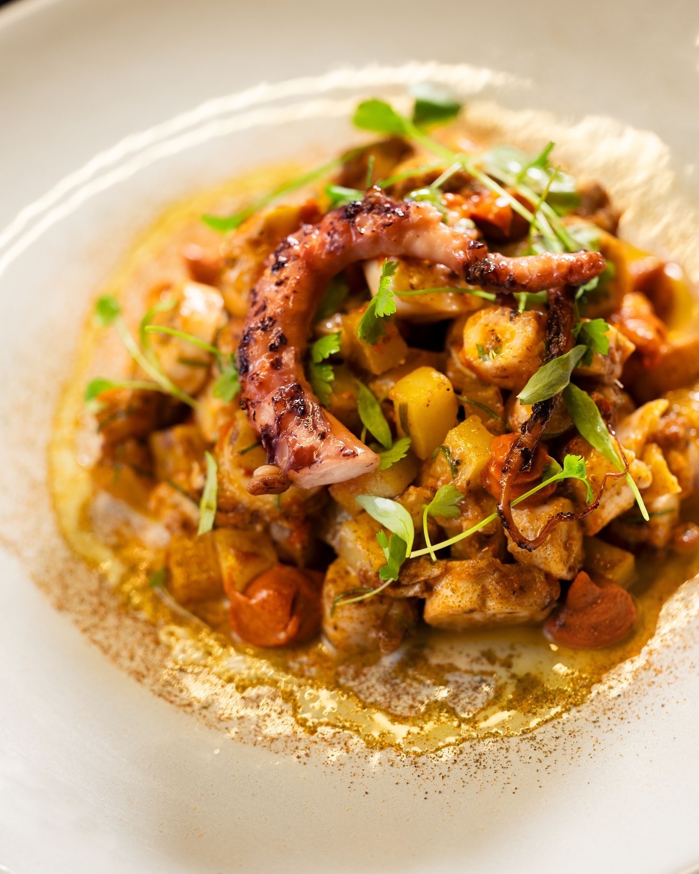 sereiamiami_1709044137_3312024740011239128_59215535322