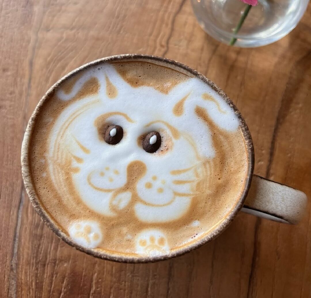 floraplantkitchen_1706640203_3291859079851189651_29364769202