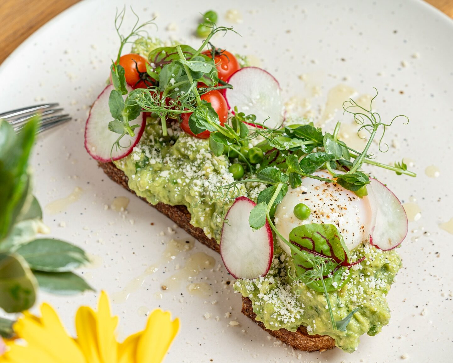 floraplantkitchen_1707572487_3299679642900745668_29364769202