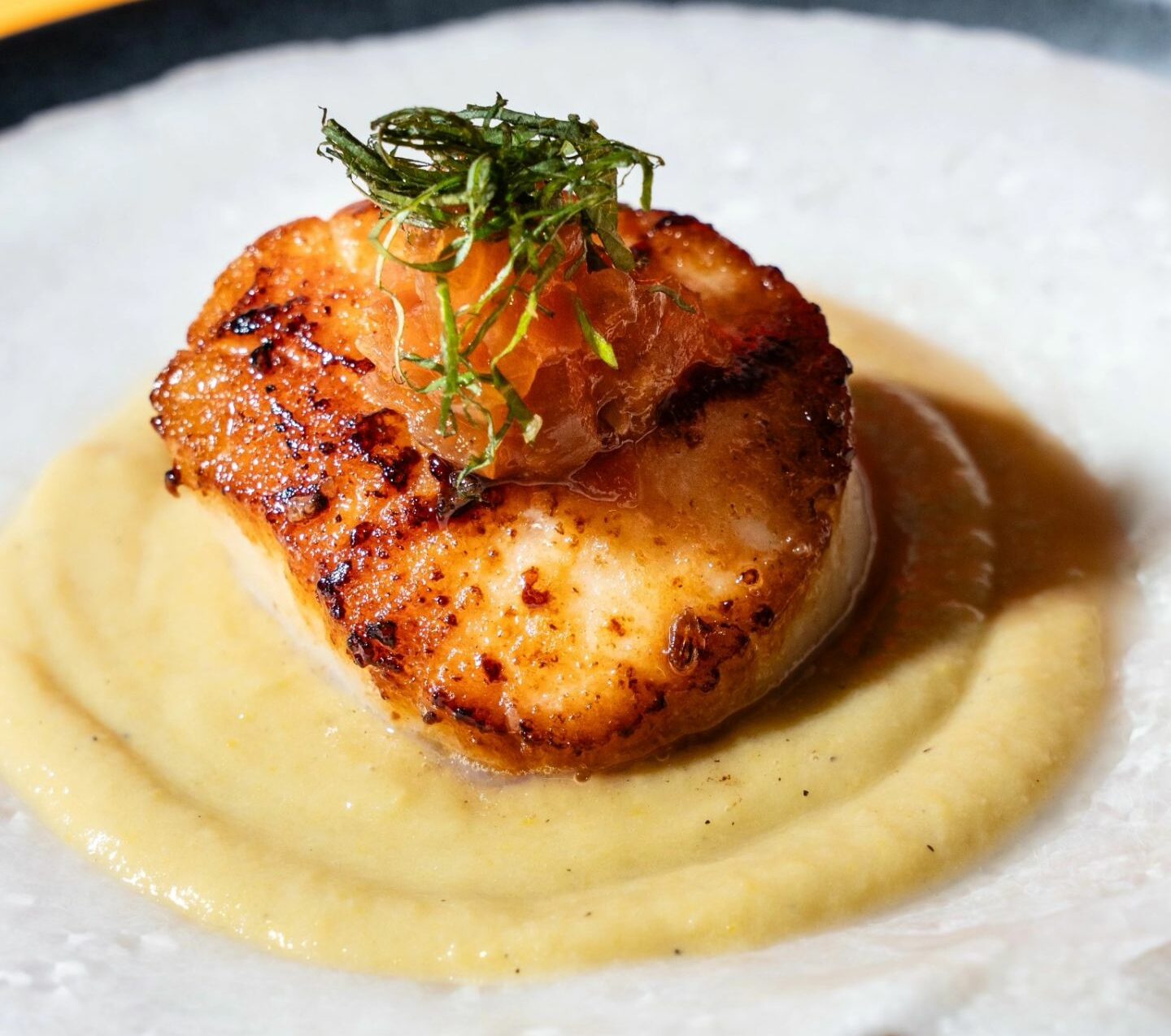 miso_ftl_1710099945_3320881497325133533_45488804374