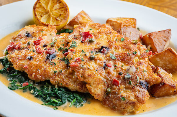 Cooper's Hawk Coconut Creek