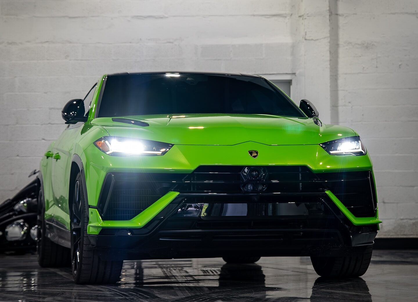 dynastyluxuryrentals_1709930976_3319464079893688786_41674193