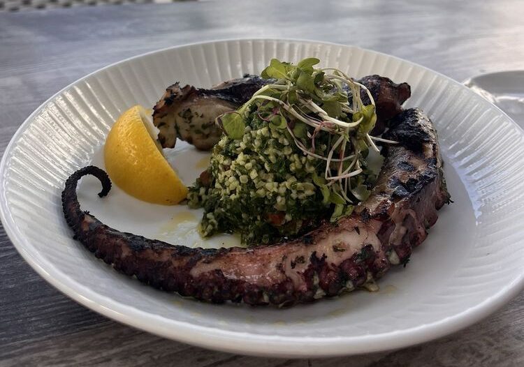 Pier 14 Octopus