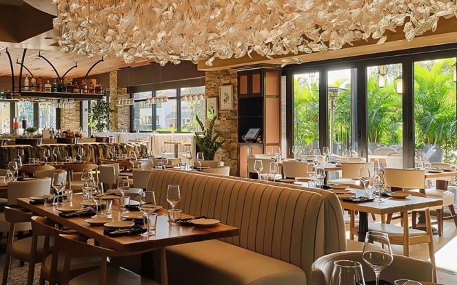 Boca Raton Hotels - Top Places to Stay for Luxury, Comfort, and Beachfront Bliss