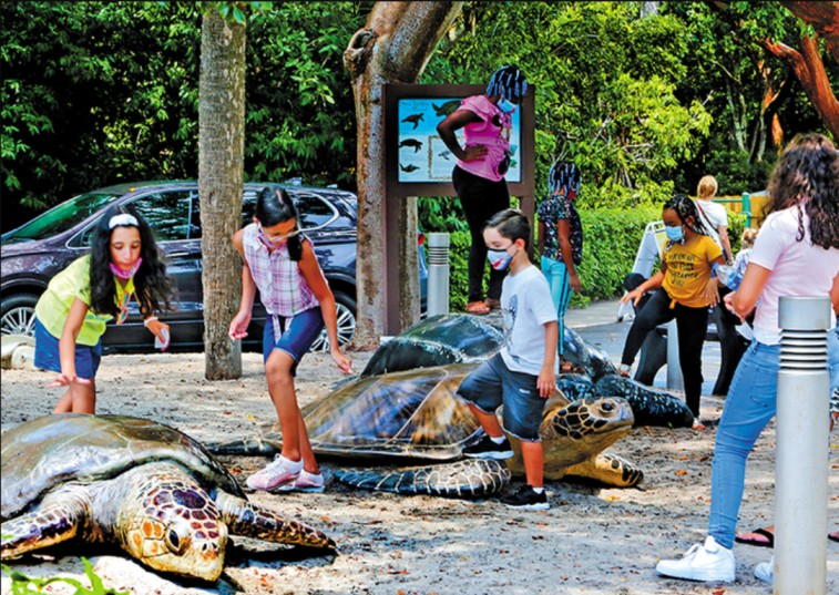 Things to Do in Boca Raton This Summer—Sizzle with These Hot Picks