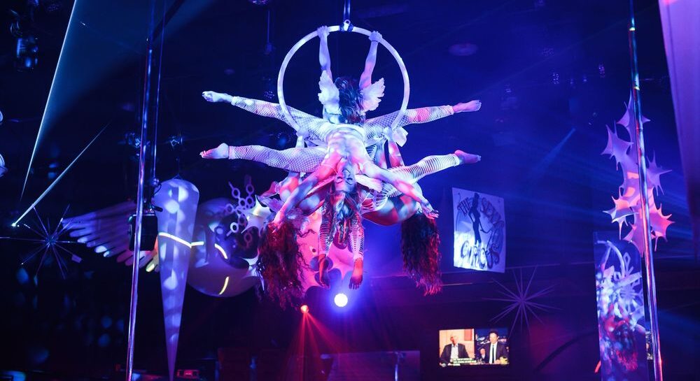 Vixens Cabaret Aerobatics