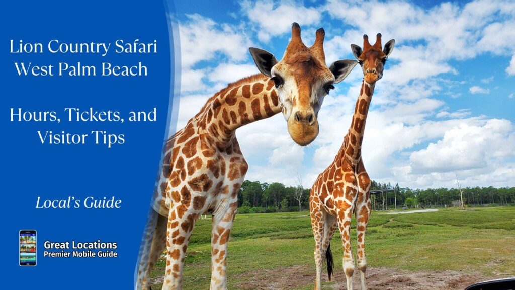 Lion Country Safari