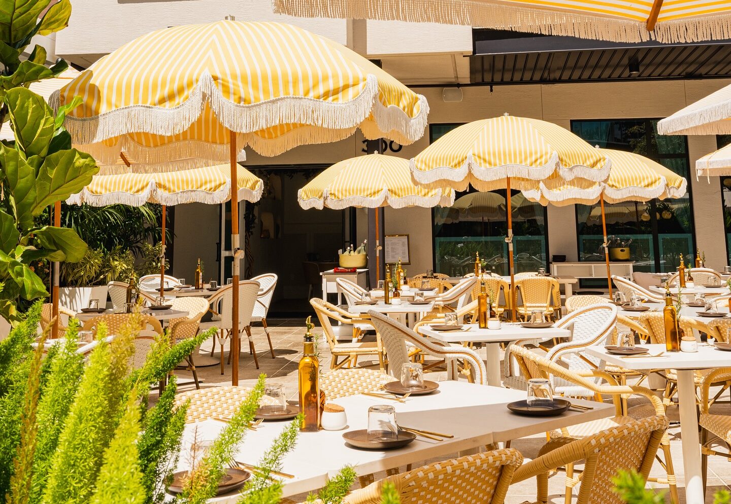 motekcafe_1747249011_3632510447568777640_18119892140